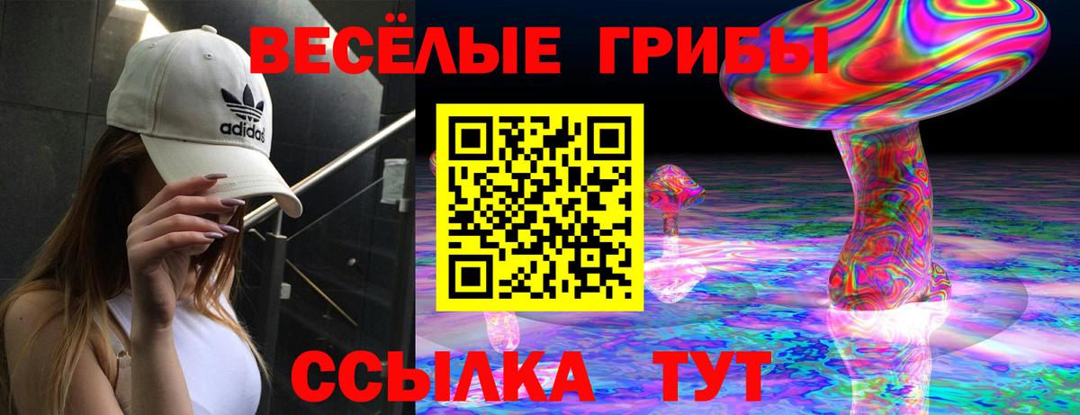 Галлюциногенные грибы прущие грибы Луховицы